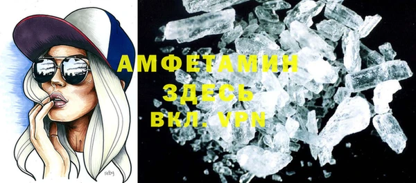 амф Вяземский