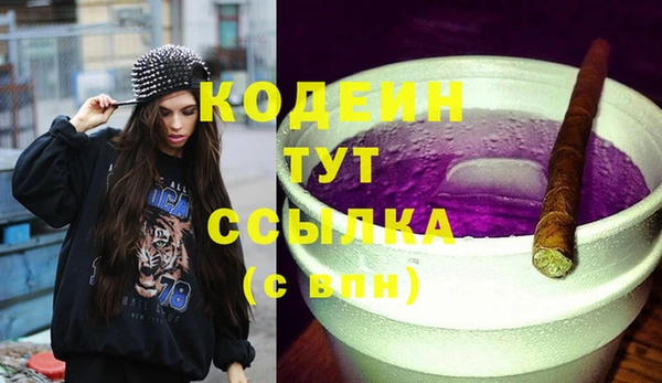 амф Вяземский