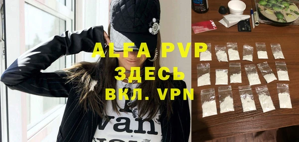 амф Вяземский