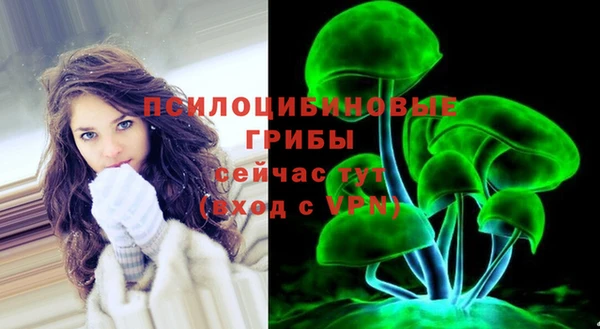 дурь Вязьма