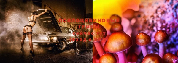 дурь Вязьма