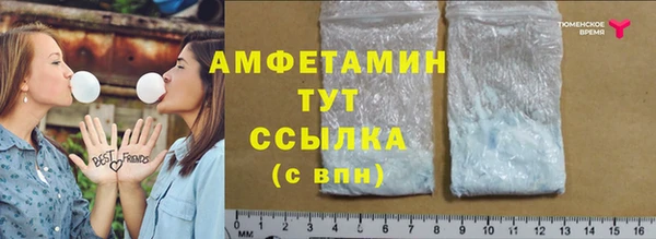 амф Вяземский