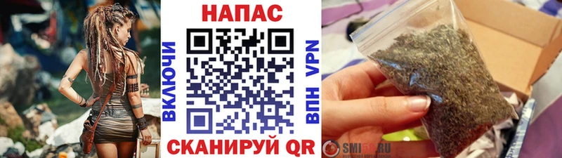 Конопля сатива дарк нет Telegram Пересвет